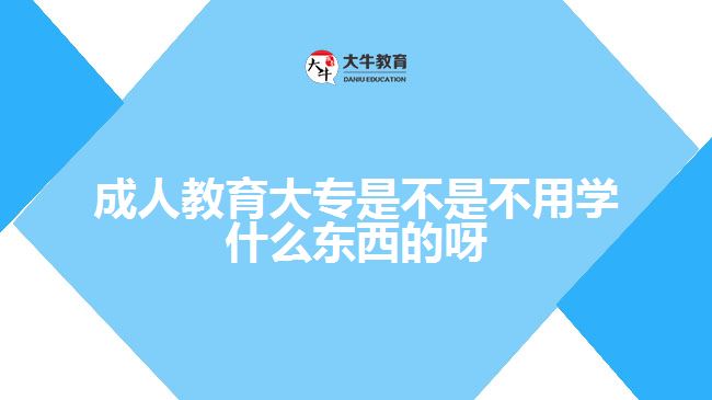 成人教育大專是不是不用學(xué)什么東西的呀