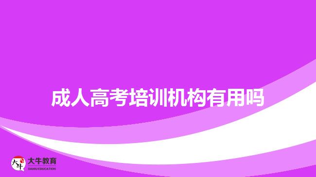 成人高考培訓(xùn)機構(gòu)有用嗎