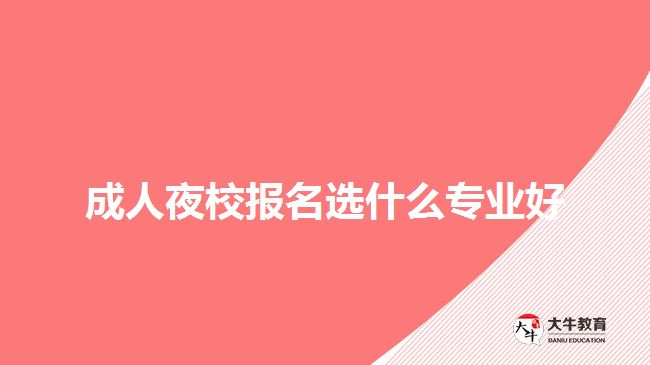 成人夜校報名選什么專業(yè)好