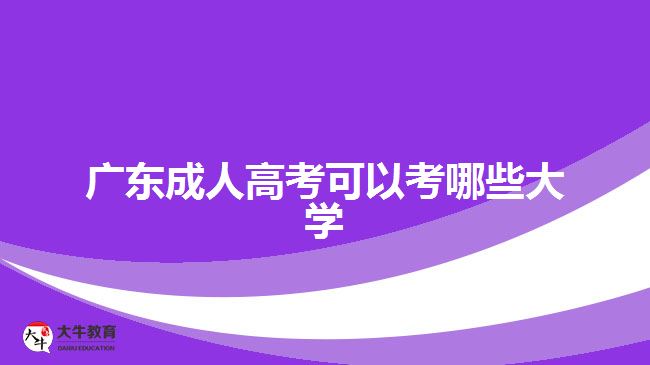 廣東成人高考可以考哪些大學