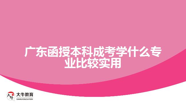 廣東函授本科成考學(xué)什么專業(yè)比較實用