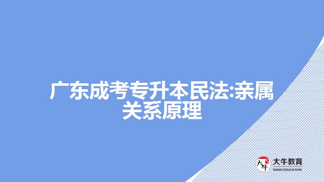 廣東成考專升本民法:親屬關(guān)系原理