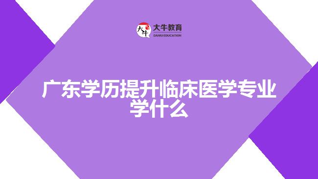 廣東學(xué)歷提升臨床醫(yī)學(xué)專業(yè)學(xué)什么