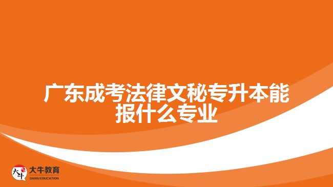 廣東成考法律文秘專升本能報什么專業(yè)