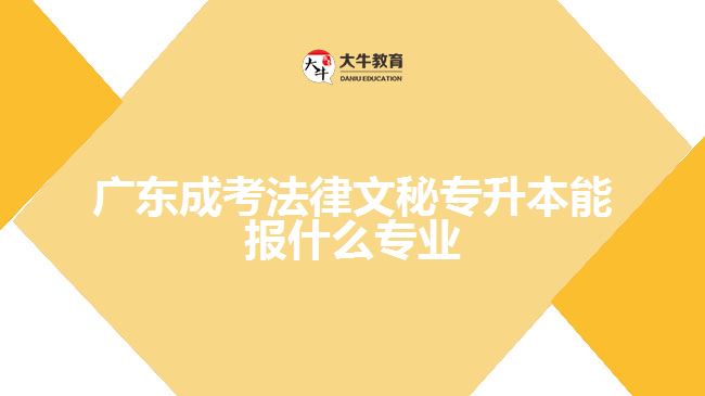 廣東成考法律文秘專升本能報什么專業(yè)