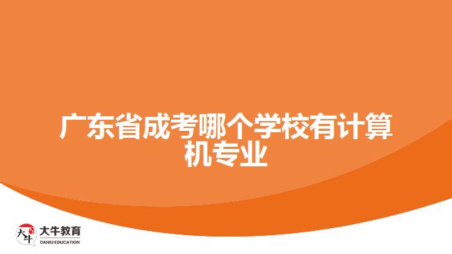 廣東省成考哪個學(xué)校有計算機專業(yè)