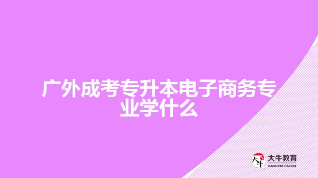 廣外成考專升本電子商務專業(yè)學什么