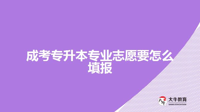 成考專升本專業(yè)志愿要怎么填報