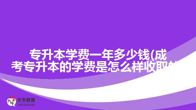 專升本學(xué)費(fèi)一年多少錢(qián)(成考專升本的學(xué)費(fèi)是怎么樣收取的)