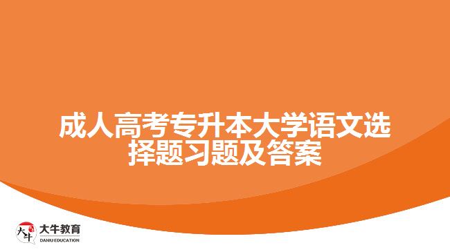 成人高考專升本大學語文選擇題習題及答案