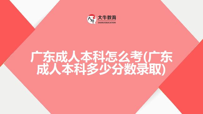 廣東成人本科怎么考(廣東成人本科多少分?jǐn)?shù)錄取)