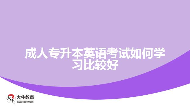 成人專升本英語考試如何學習比較好