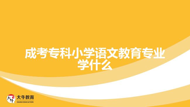 成考?？菩W(xué)語文教育專業(yè)學(xué)什么