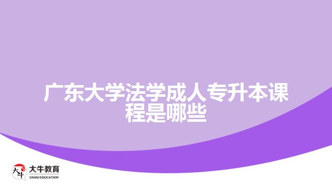 廣東大學(xué)法學(xué)成人專升本課程是哪些