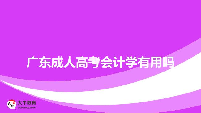 廣東成人高考會計學(xué)有用嗎