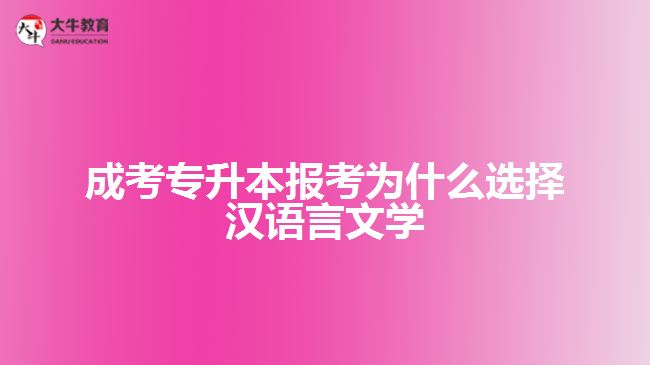 成考專升本報考選擇漢語言文學