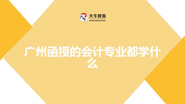 廣州函授的會計專業(yè)都學什么