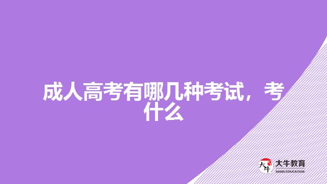 成人高考有哪幾種考試，考什么