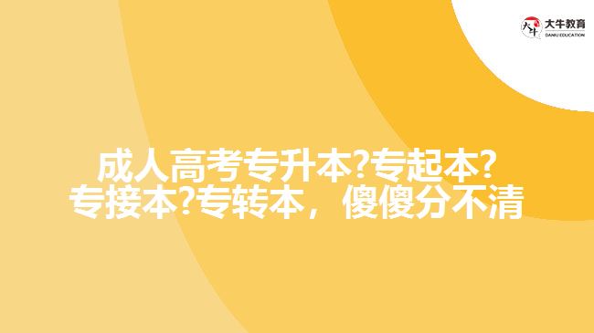 成人高考專升本?專起本?專接本?專轉(zhuǎn)本，傻傻分不清