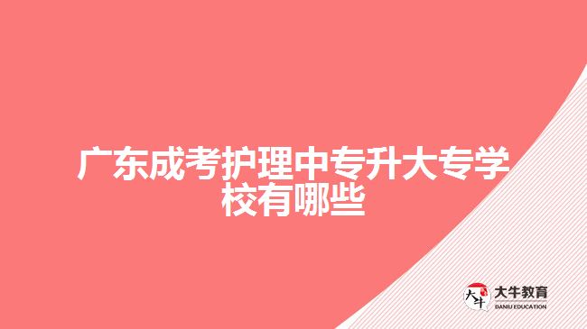 廣東成考護(hù)理中專升大專學(xué)校有哪些