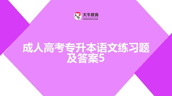 成人高考專(zhuān)升本語(yǔ)文練習(xí)題及答案5