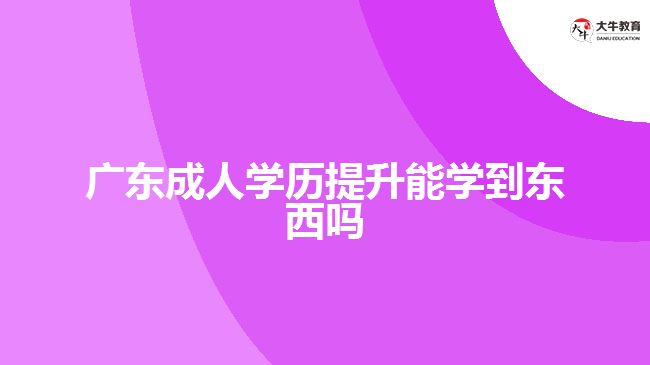 廣東成人學(xué)歷提升能學(xué)到東西嗎