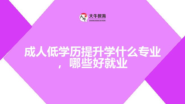 成人低學(xué)歷提升學(xué)什么專業(yè)