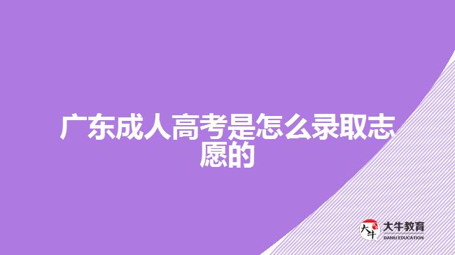 廣東成人高考是怎么錄取志愿的