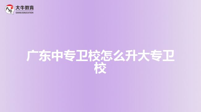 廣東中專衛(wèi)校怎么升大專衛(wèi)校