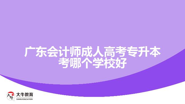 廣東會計師成人高考專升本考哪個學校好