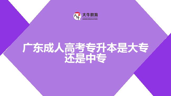 廣東成人高考專升本是大專還是中專