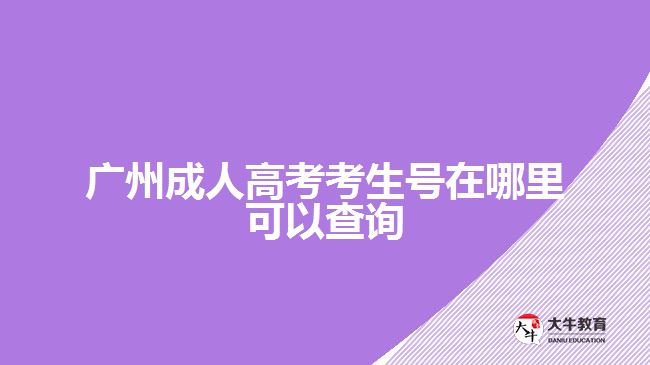 廣州成人高考考生號(hào)在哪里可以查詢