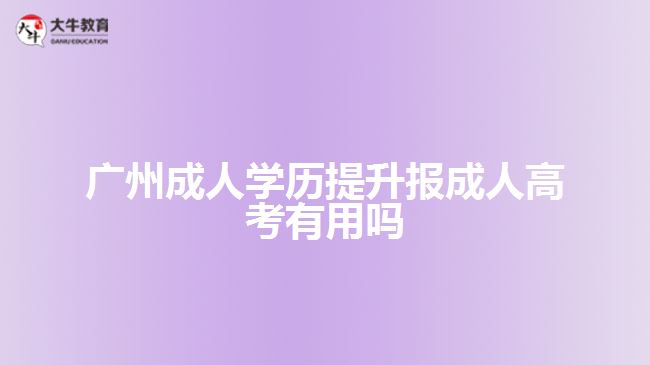 廣州成人學(xué)歷提升報(bào)成人高考有用嗎