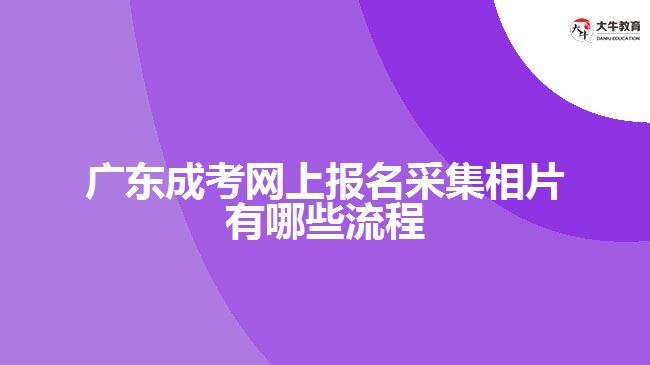 廣東成考網(wǎng)上報名采集相片有哪些流程