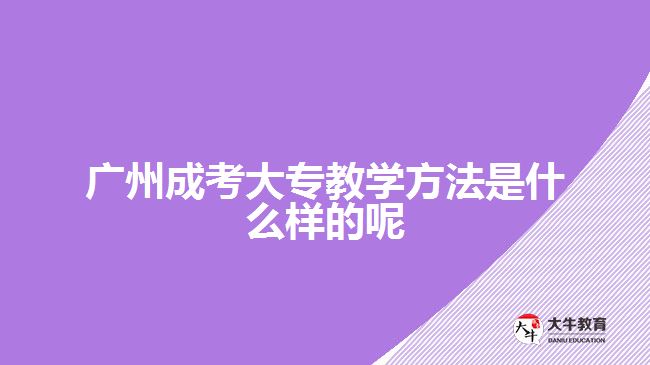 廣州成考大專教學(xué)方法是什么樣的呢