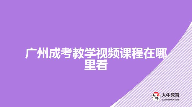 廣州成考教學(xué)視頻課程在哪里看