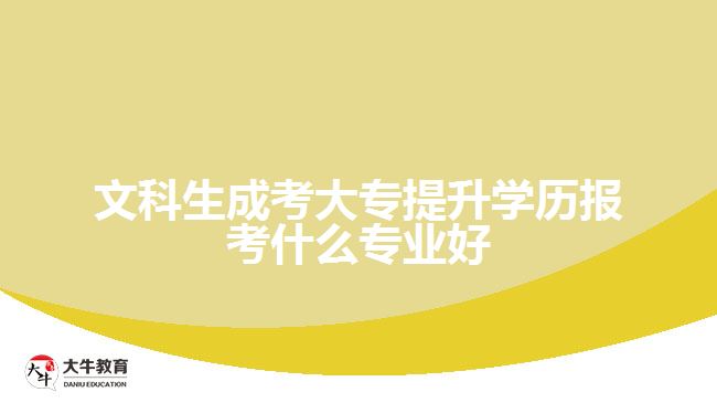 文科生成考大專提升學歷報考什么專業(yè)好