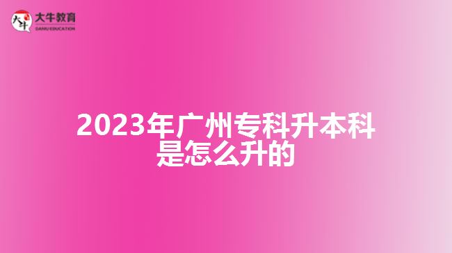 2023年廣州?？粕究剖窃趺瓷? width='170' height='105'/></a></dt>
						<dd><a href=