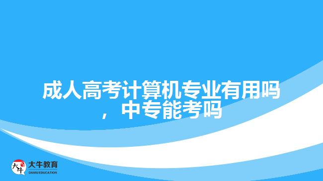 成考計(jì)算機(jī)專業(yè)有用嗎，中專能考嗎