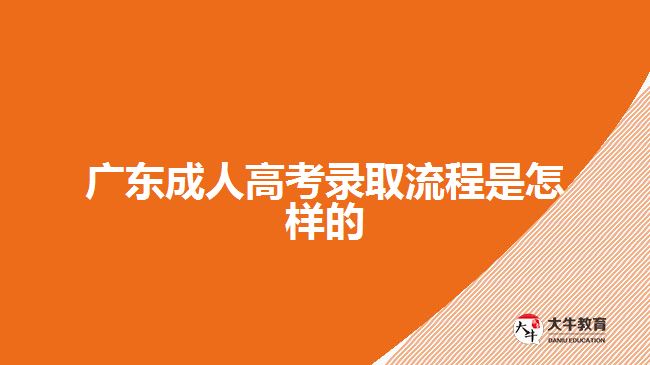 廣東成人高考錄取流程是怎樣的