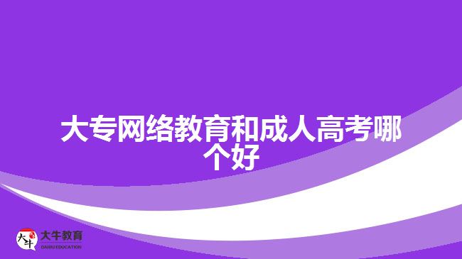 大專網(wǎng)絡(luò)教育和成人高考哪個(gè)好