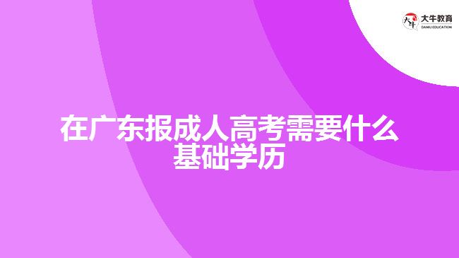 在廣東報(bào)成人高考需要什么基礎(chǔ)學(xué)歷