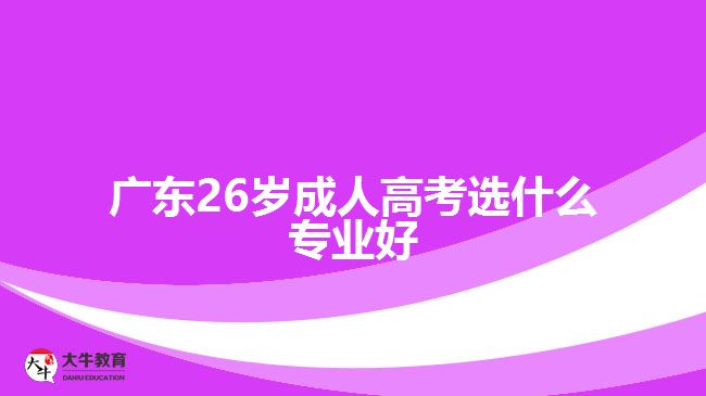 廣東26歲成人高考選什么專業(yè)好