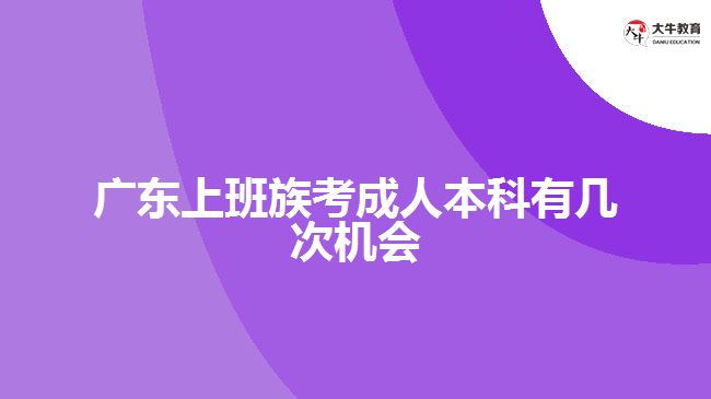 廣東上班族考成人本科有幾次機(jī)會(huì)