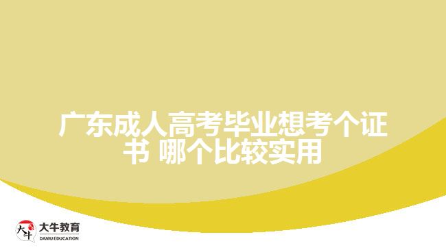 廣東成人高考畢業(yè)想考個證書 哪個比較實用