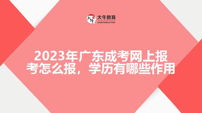 2023年廣東成考網(wǎng)上報考怎么報，學(xué)歷有哪些作用