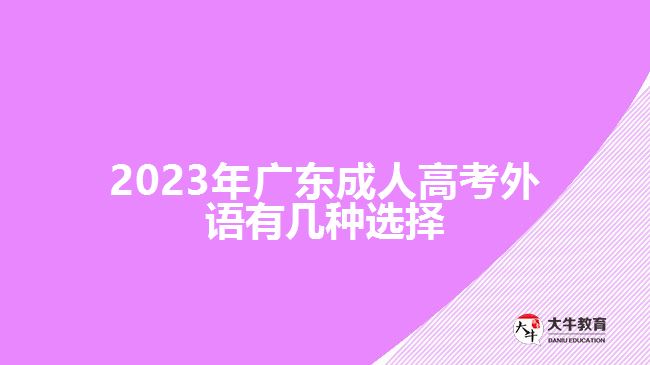 2023年廣東成人高考外語(yǔ)有幾種選擇