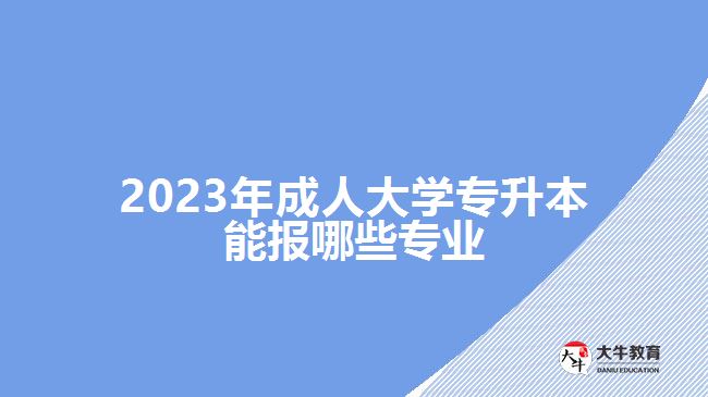 2023年成人大學專升本能報哪些專業(yè)