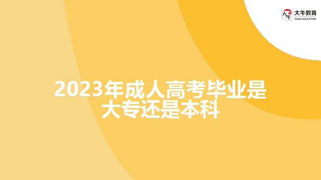 2023年成人高考畢業(yè)是大專還是本科