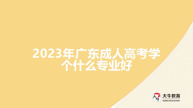 2023年廣東成人高考學個什么專業(yè)好